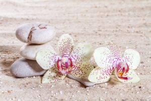 vip hizmet için masaj